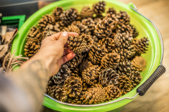 tim_dechent_veranstaltungsfotografie_besitzerwechsel_flohmarkt_muenster_2025-32