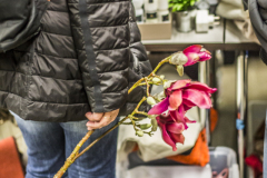 tim_dechent_veranstaltungsfotografie_besitzerwechsel_flohmarkt_muenster_2025-47